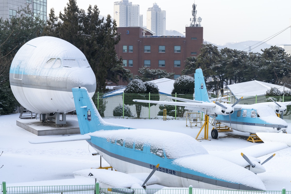 새하얗게 물들인 인하공전 Photo_28.jpg