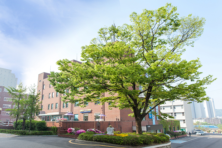 학교설립기념식수2